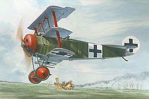 Fokker Dr.I 1/32 Roden 601