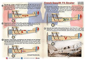 French Sopwith 1½ Strutter 1:72 Print Scale 72501